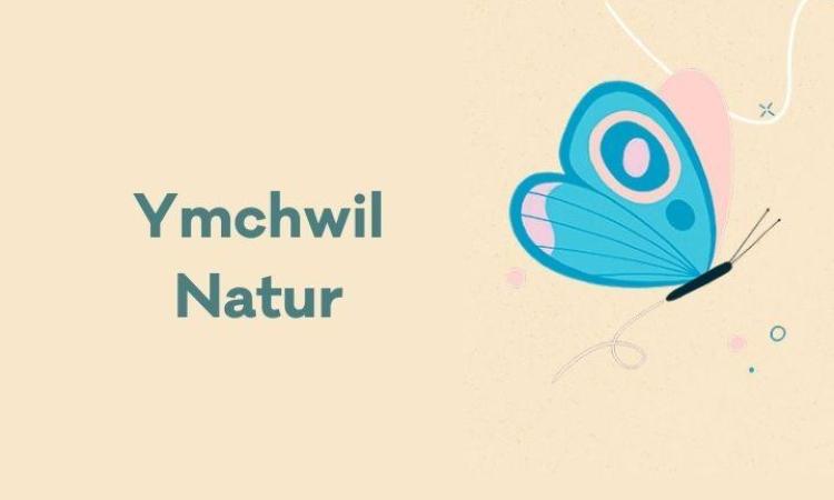 Graphic of a butterfly with nature research written in Welsh