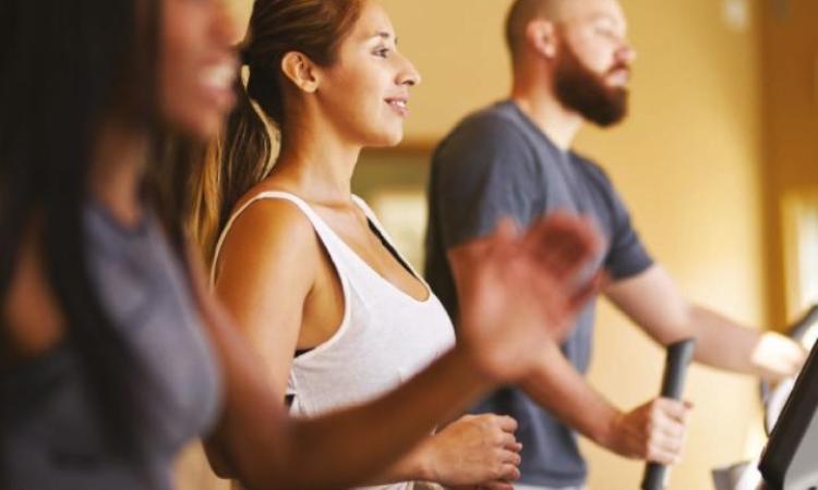 People exercising on cardio machines