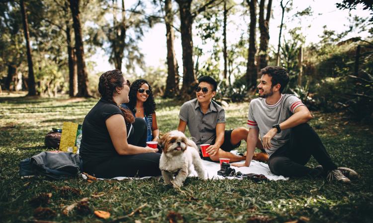 Young people eating a picnic outside with a dog